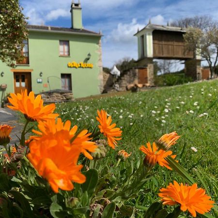 Os Tres Teixos Guest House San Acisclo ภายนอก รูปภาพ